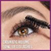 Maybelline The Falsies Lash Lift Washable Mascara - Image 3